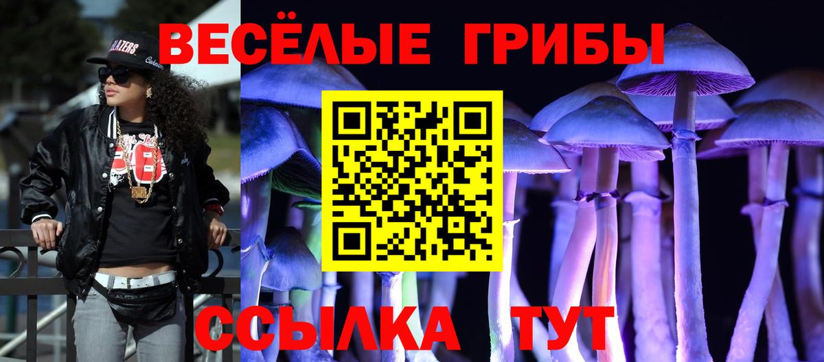 Феодосия  Псилоцибиновые грибы GOLDEN TEACHER  Галлюциногенные грибы Cubensis  Вход с VPN 